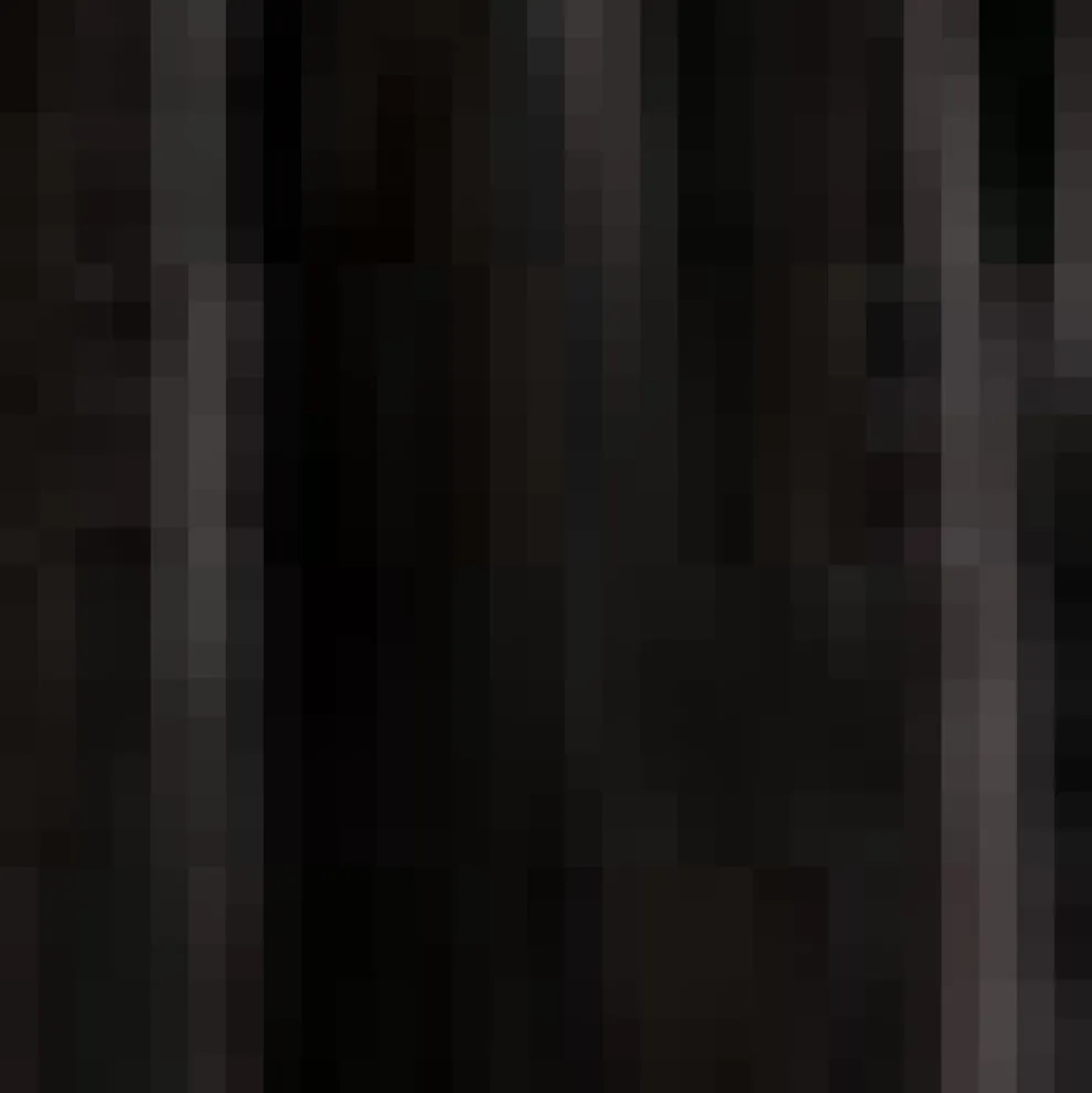 Time Capsule Tulle Midi Skirt