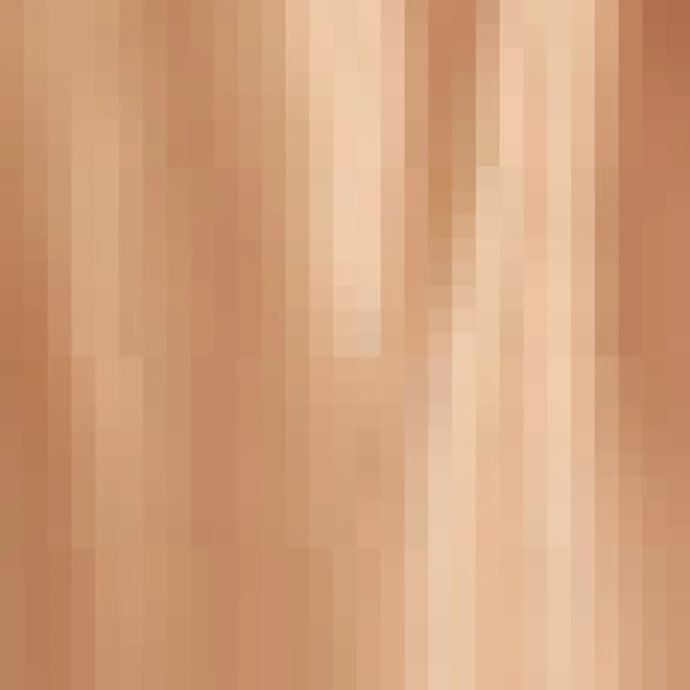 Time Capsule Tulle Midi Skirt