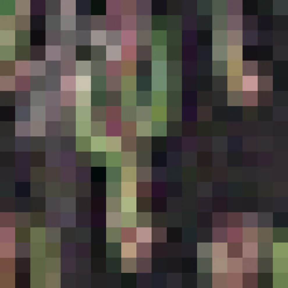 Twilight Sonata Fit & Flare Dress