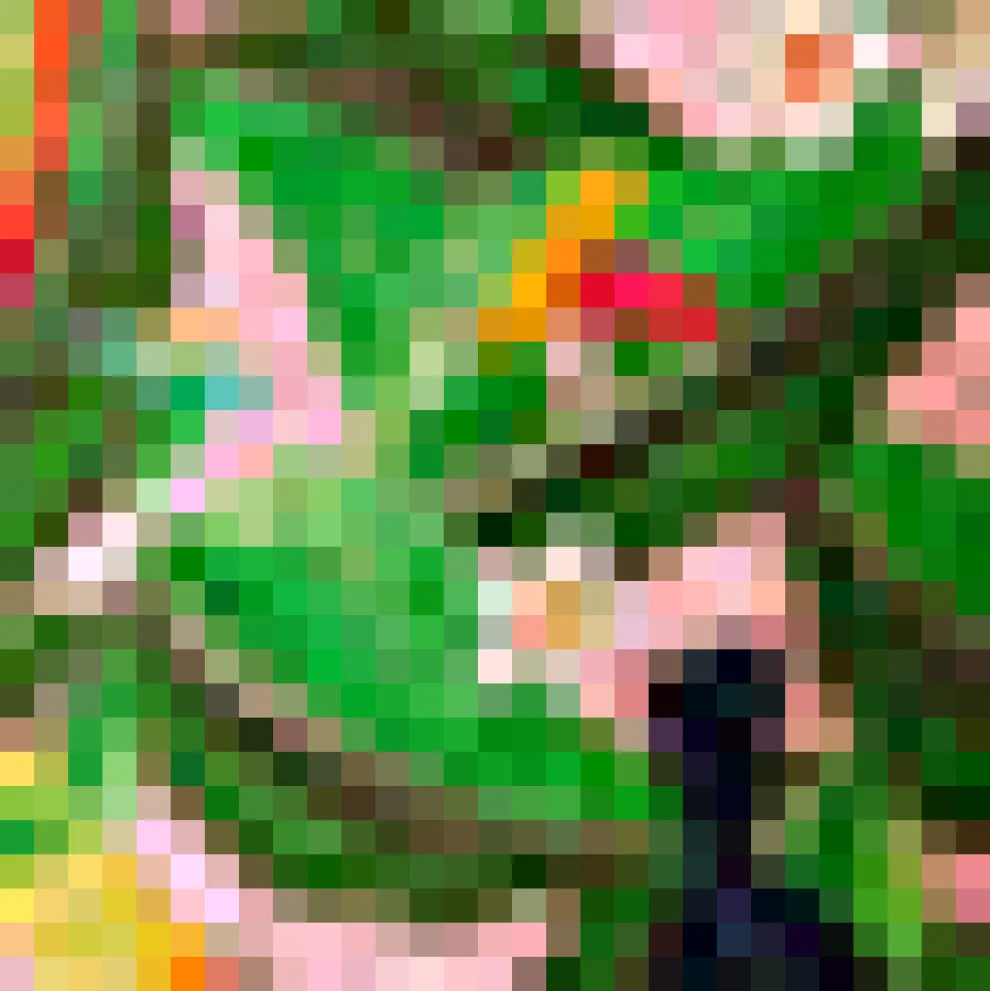 Vintage Voyage Shorts