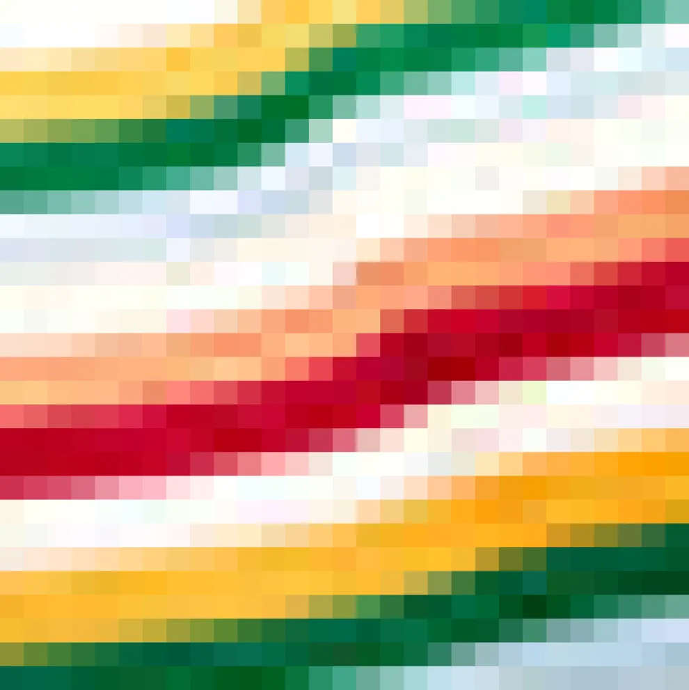 Woodstock Wanderer Ribbed Turtleneck